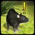 家鼠模拟器汉化升级版下载_家鼠模拟器汉化升级版下载小游戏_家鼠模拟器汉化升级版下载攻略  2.0