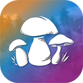 真实采集蘑菇模拟器手游下载  2.0